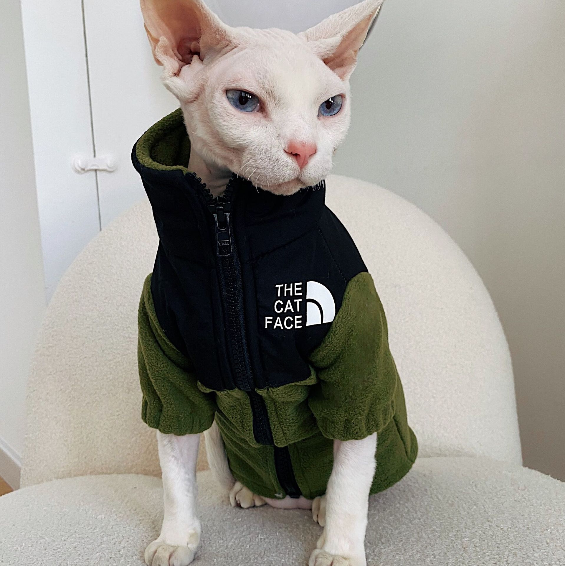 HKM-7967805 Cozy Coral Fleece Cat Clothes in Army Green, Sapphire Blue, and Beige - Multiple Sizes Available