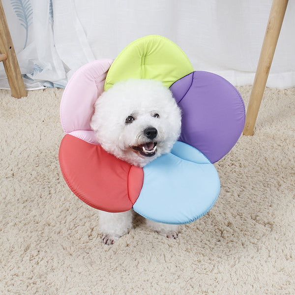 HKM-7971389 Pet Protective Cover - Anti-Scratch Beauty Flower Design - Multiple Colors and Sizes Available