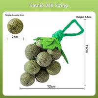 HKM-7972029 Mint Flavor Grape Cluster Teaser Molar Cat Toy for Interactive Play