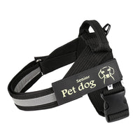 HKM-7972669 Durable Nylon Dog Leash and Chest Harness Set in Blue, Black, Red - Multiple Size Options Available