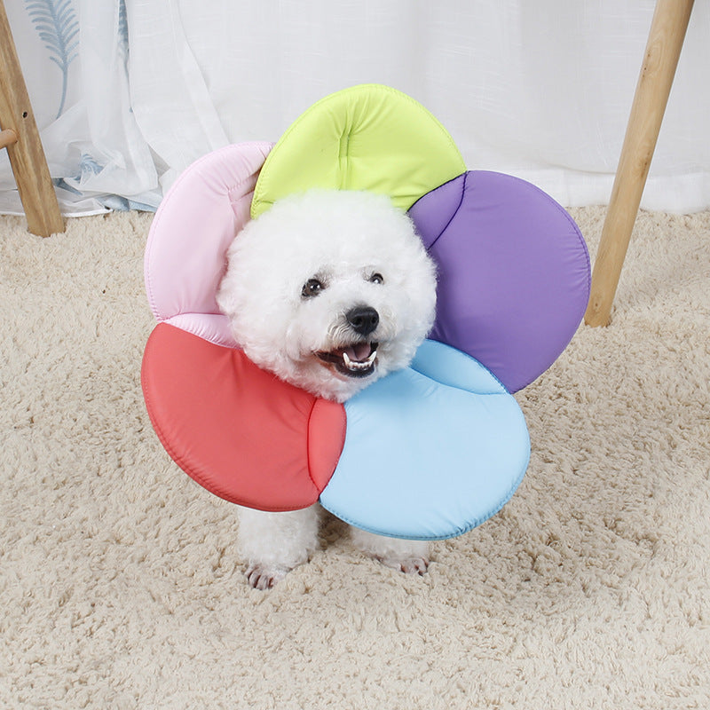 HKM-797459 Pet Anti-Scratch Protective Cover - Rainbow, Pink, Yellow-Green, Purple, Blue, Red Options Available