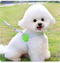 HKM-7980605 Summer Breathable Dog Chest Vest Leash for Small and Medium Dogs