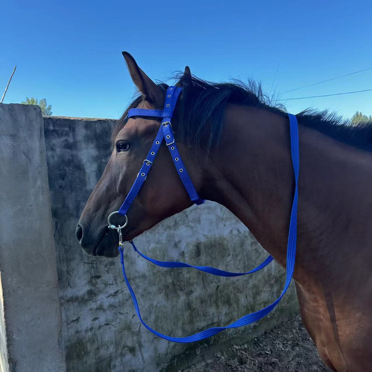 HKM-7987517 Adjustable Horse Halter with Rope - Available in Various Sizes and Colors