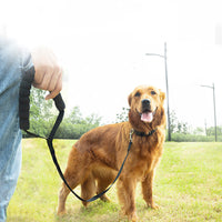 HKM-7990461 Durable Long Traction Rope with Sponge Cover for Dogs - Various Lengths Available