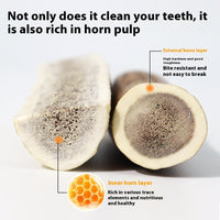 HKM-7990717 Bite-Resistant Antler Chews for Dental Health - Small, Medium, Large Options
