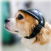 HKM-799187 Adjustable Pet Helmet for Dogs and Cats - Lightweight Sun and Wind Protection for Outdoor Activities