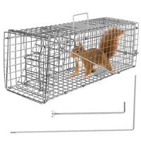 HKM-7994301 Humane Live Animal Trap for Small Wildlife – Collapsible Galvanized Wire Cage for Raccoons, Groundhogs, Armadillos, and More