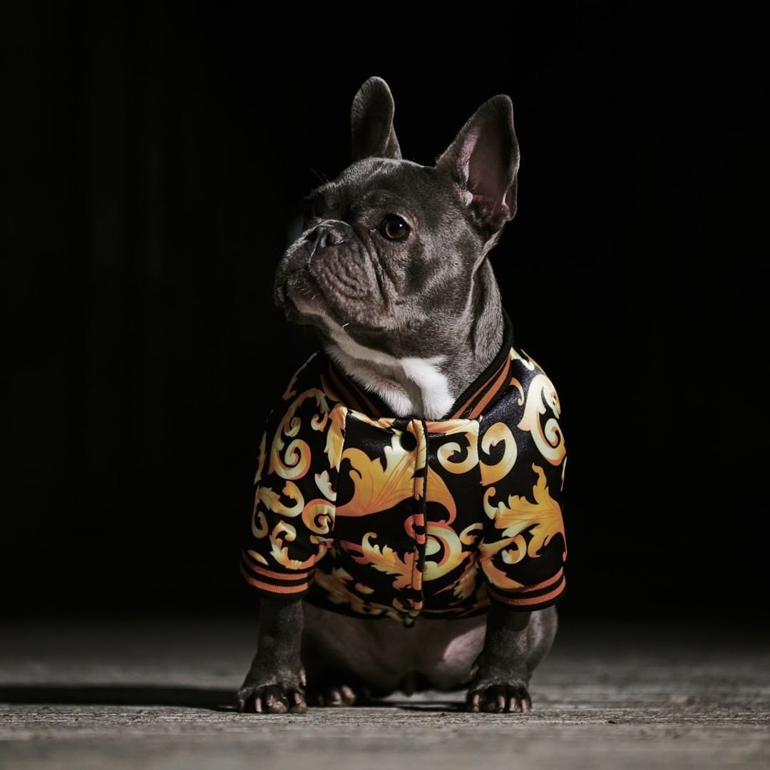 HKM-7994813 Cotton Dog Coat for Small to XXXL Sizes, Adjustable Neck and Bust Measurements