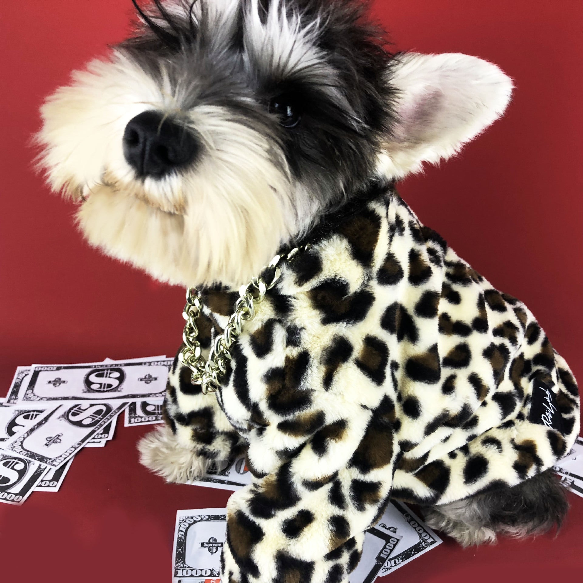 HKM-7996989 Leopard Print Dog Jacket for Spring and Autumn ¨C Thick Polyester Coat for Small Breeds