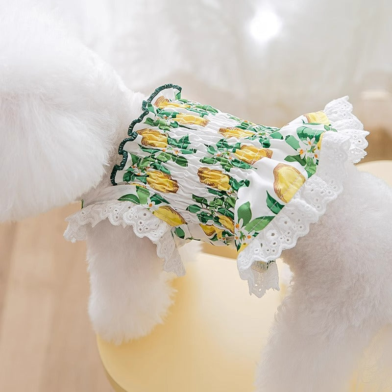 HKM-7998013 Thin Breathable Dog Dress with Strap in Rock Yellow Lemon, Sizes XS to XXL