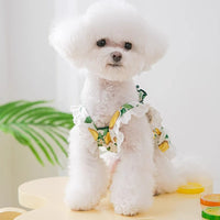 HKM-7998013 Thin Breathable Dog Dress with Strap in Rock Yellow Lemon, Sizes XS to XXL