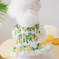 HKM-7998013 Thin Breathable Dog Dress with Strap in Rock Yellow Lemon, Sizes XS to XXL