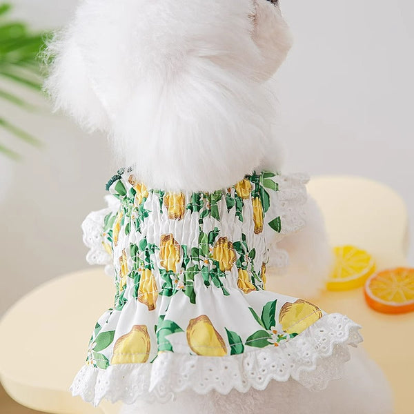 HKM-7998013 Thin Breathable Dog Dress with Strap in Rock Yellow Lemon, Sizes XS to XXL