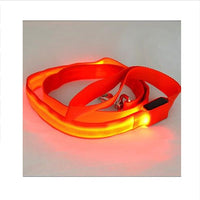 HKM-8000189 LED Dog Leash with Illuminating Nylon Strap and Replaceable Battery, Waterproof and Adjustable Brightness Options, Perfect for Night Walks