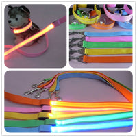HKM-8000189 LED Dog Leash with Illuminating Nylon Strap and Replaceable Battery, Waterproof and Adjustable Brightness Options, Perfect for Night Walks