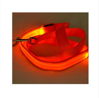 HKM-8000189 LED Dog Leash with Illuminating Nylon Strap and Replaceable Battery, Waterproof and Adjustable Brightness Options, Perfect for Night Walks