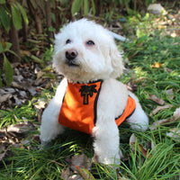 HKM-8002749 Waterproof Pet Apron for Belly Protection, Easy On and Off, Polyester & Short Plush Material