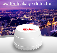 HKM-800403 Wireless Water Leak Detection System for Home Safety