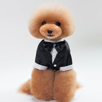HKM-8010301 Stylish Cotton Wedding Suit for Male Pets - Available in Various Sizes S-XXL