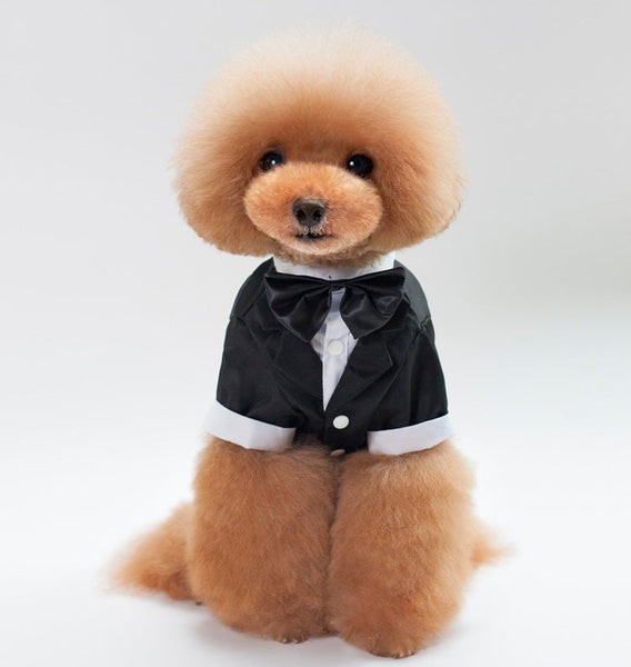 HKM-8010301 Stylish Cotton Wedding Suit for Male Pets - Available in Various Sizes S-XXL