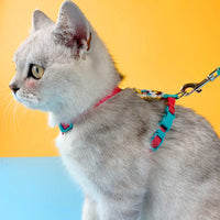 HKM-8011709 Adjustable Cat Traction Rope for Small Dogs ¨C Divine Beast Racer Back Design