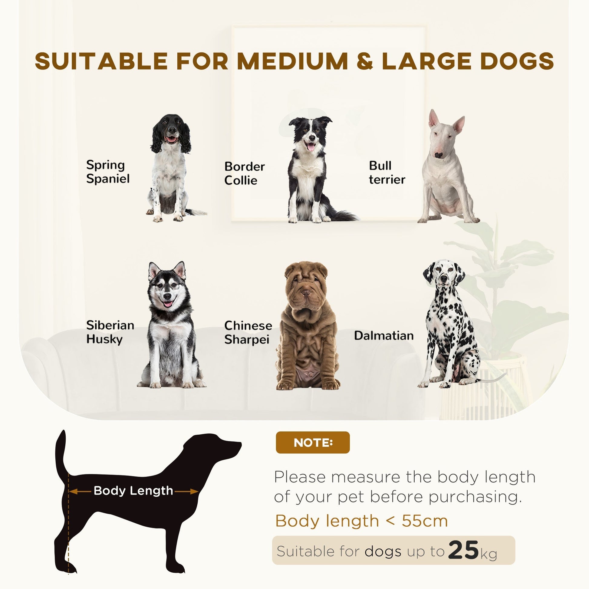 HKM-8016317 Charcoal Gray Velvet Pet Sofa for Medium to Large Dogs with Cushion and Birch Wood Legs