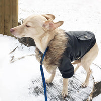 HKM-8017341 Stylish Leather Dog Coat with Fur Collar for Autumn & Winter in Black and Wine Red