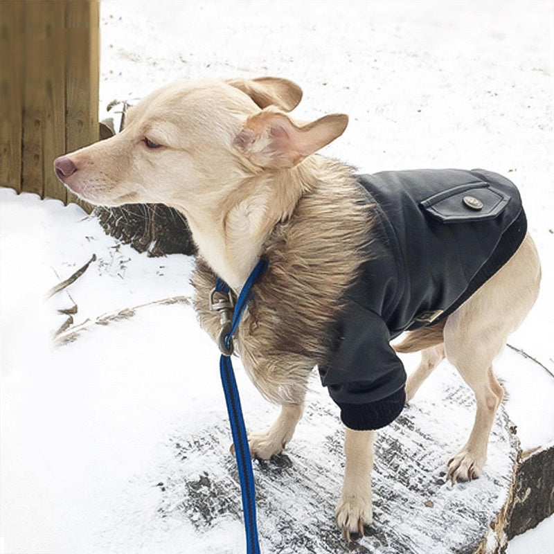 HKM-8017341 Stylish Leather Dog Coat with Fur Collar for Autumn & Winter in Black and Wine Red
