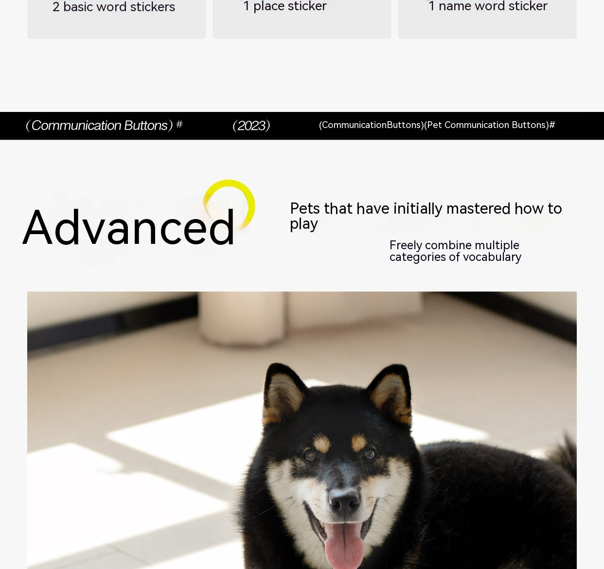 HKM-8018493 Miniature Recording Button for Dog and Cat Training - Voice-Activated Talking Device
