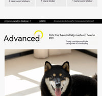 HKM-8018493 Miniature Recording Button for Dog and Cat Training - Voice-Activated Talking Device