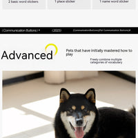 HKM-8018493 Miniature Recording Button for Dog and Cat Training - Voice-Activated Talking Device