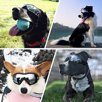 HKM-8019133 Windproof Dog Goggles for Large and Medium Breeds - Sun Protection, Anti-Fog, Adjustable Strap for Outdoor Activities