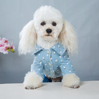 HKM-8022077 Handsome British Dog Winter Padded Clothes with Half Skirt Style in Gray and Light Blue