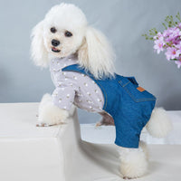 HKM-8022077 Handsome British Dog Winter Padded Clothes with Half Skirt Style in Gray and Light Blue