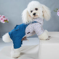 HKM-8022077 Handsome British Dog Winter Padded Clothes with Half Skirt Style in Gray and Light Blue