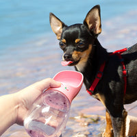 HKM-8029245 Portable Handheld Drinking Fountain for Dogs and Cats ¨C Food Grade Materials, Multiple Sizes Available