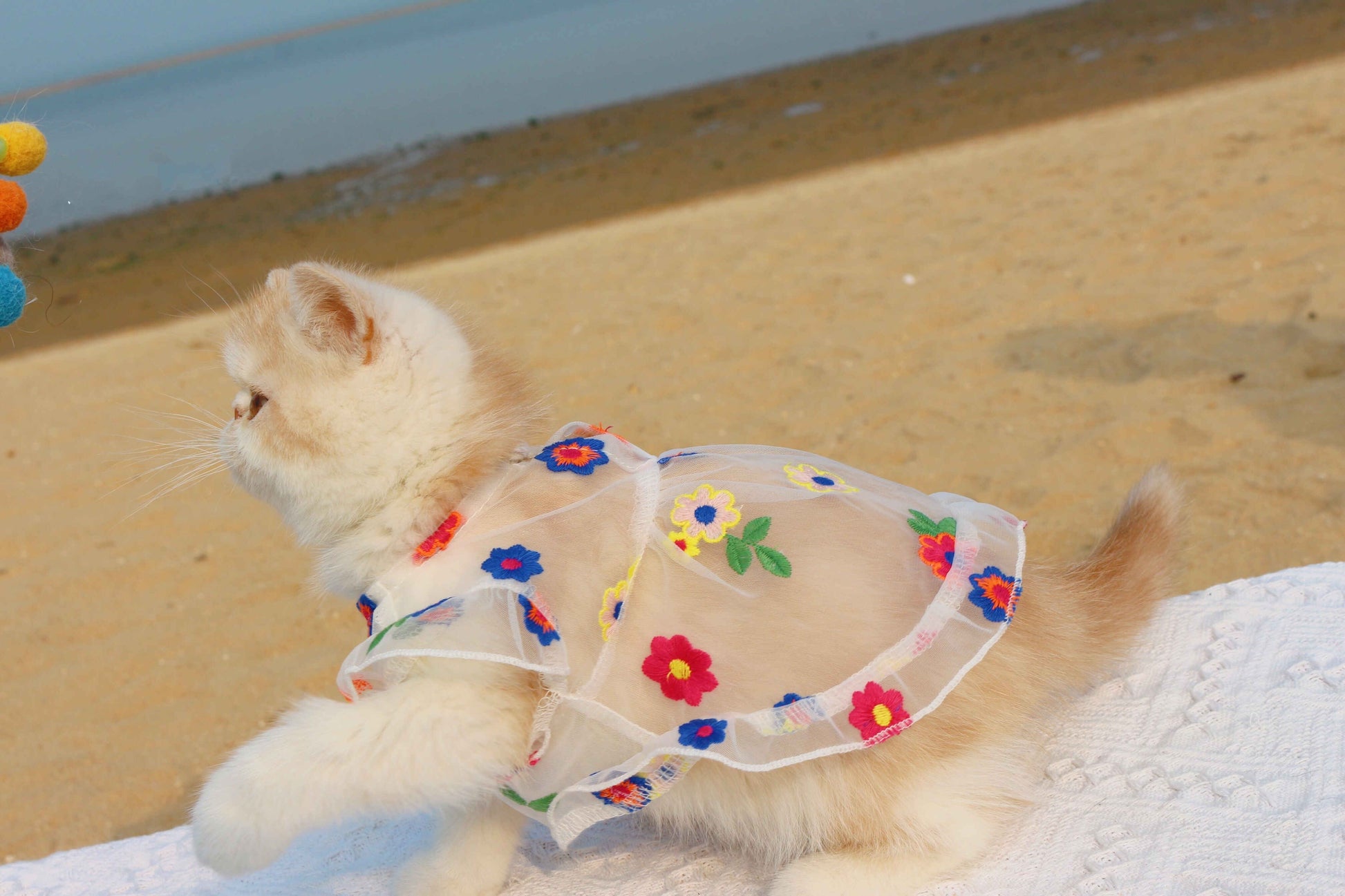 HKM-8030781 Flower Embroidery Dress for Cats with Hand-Woven Straw Hats