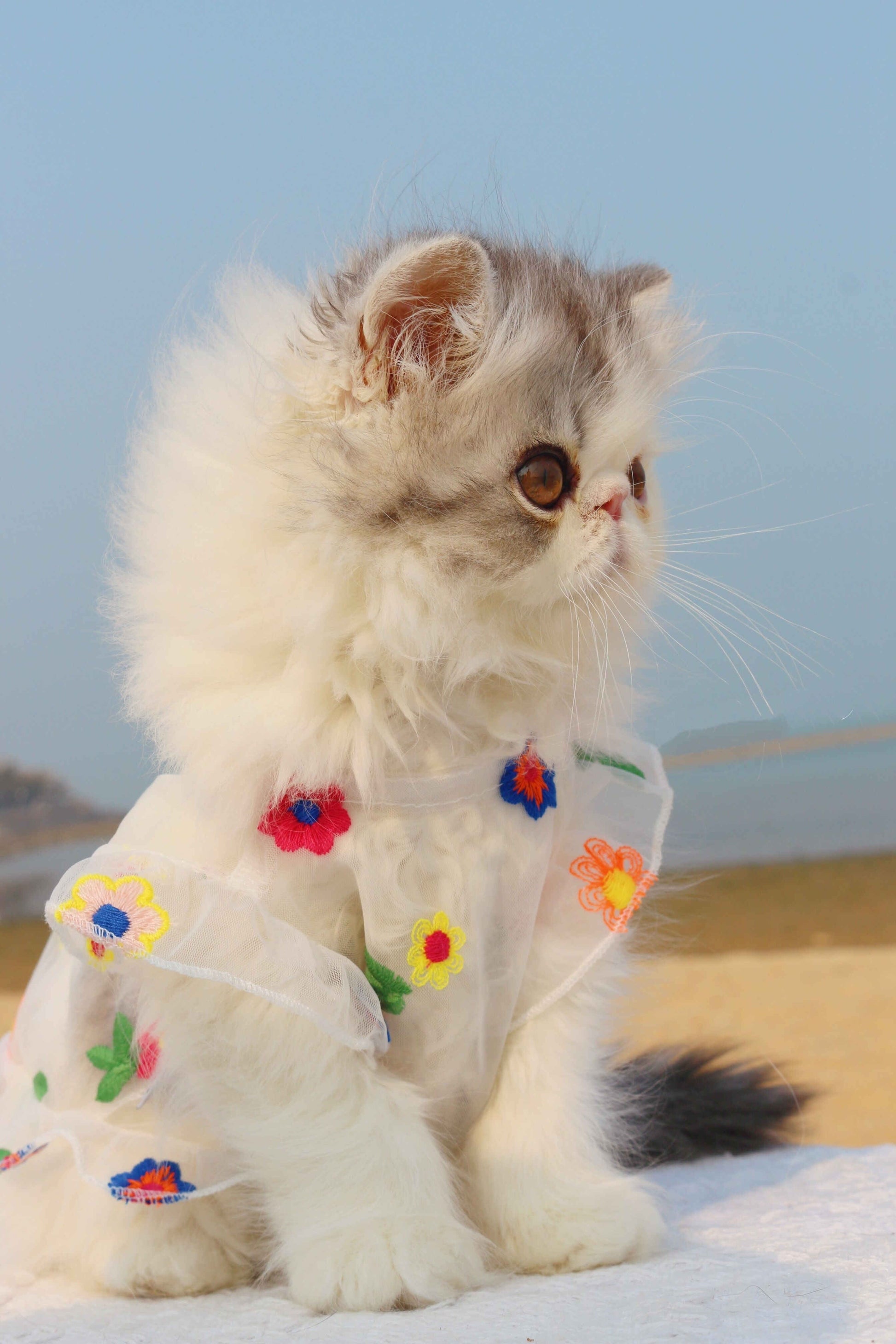 HKM-8030781 Flower Embroidery Dress for Cats with Hand-Woven Straw Hats