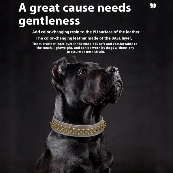 HKM-8032957 Rivets Leather Pet Collar in Monochrome Colors - Multiple Sizes Available