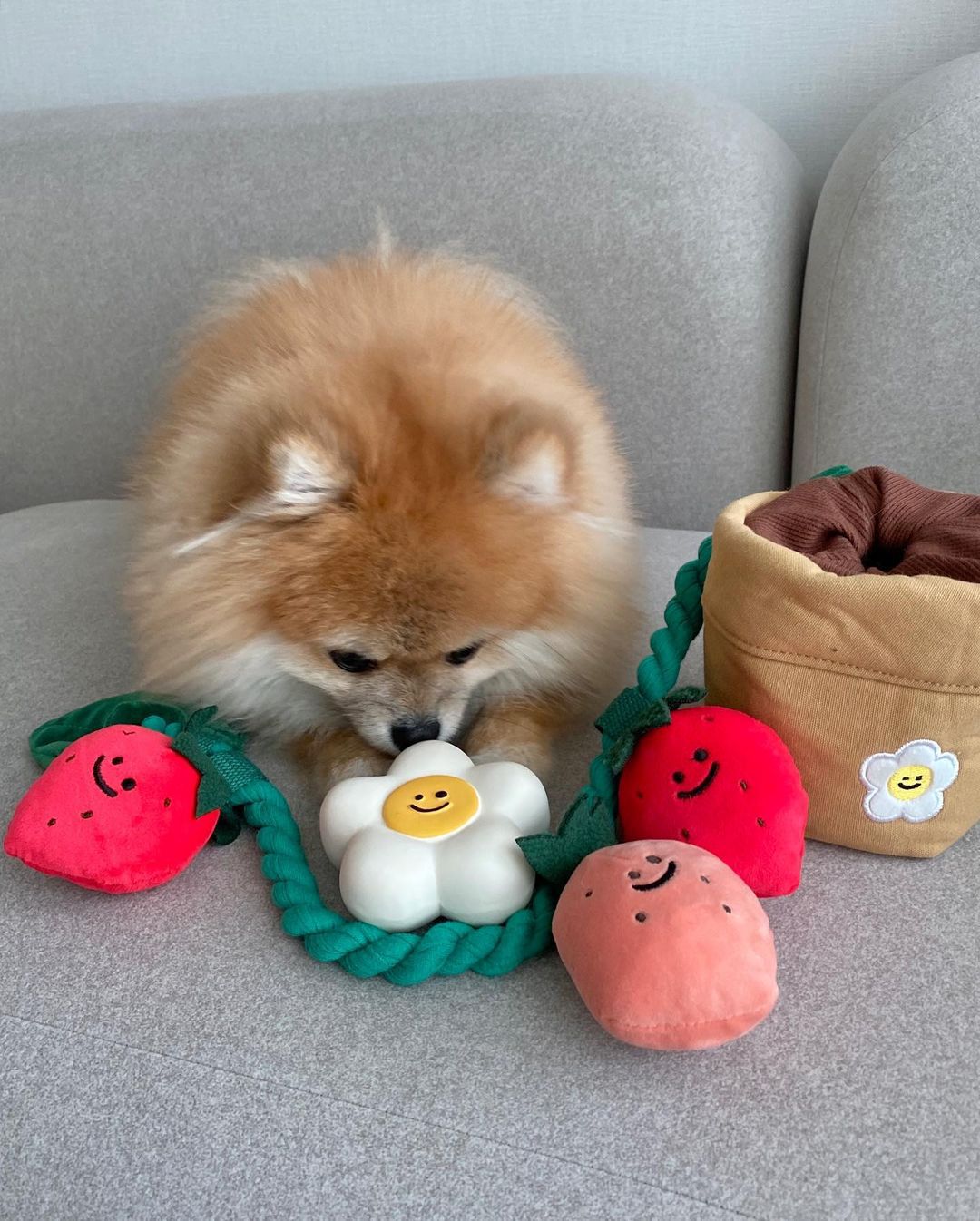 HKM-8039741 Strawberry Potted Plant Plush Toy with Hidden Treats for Pets