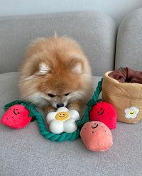 HKM-8039741 Strawberry Potted Plant Plush Toy with Hidden Treats for Pets