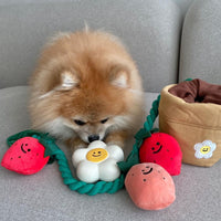 HKM-8039741 Strawberry Potted Plant Plush Toy with Hidden Treats for Pets