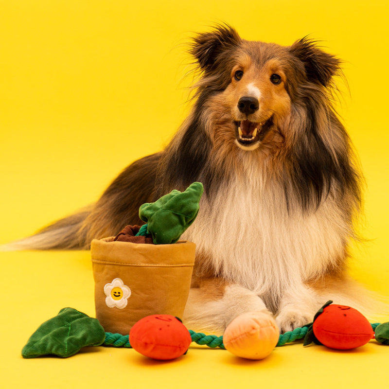 HKM-8039741 Strawberry Potted Plant Plush Toy with Hidden Treats for Pets