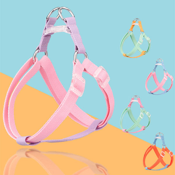 HKM-8043965 Dog Traction Rope for Small and Medium Pets - Multiple Color Sets Available