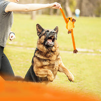 HKM-8044349 Interactive Plush Dog Toy for Tug-of-War, Chewing, and Noise-Making Fun