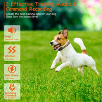 HKM-8055869 Rechargeable Dog Training Collar with Beep, Vibration, and Shock Modes - IP65 Waterproof, 984FT Range, 3 Channels, Safety Keypad Lock
