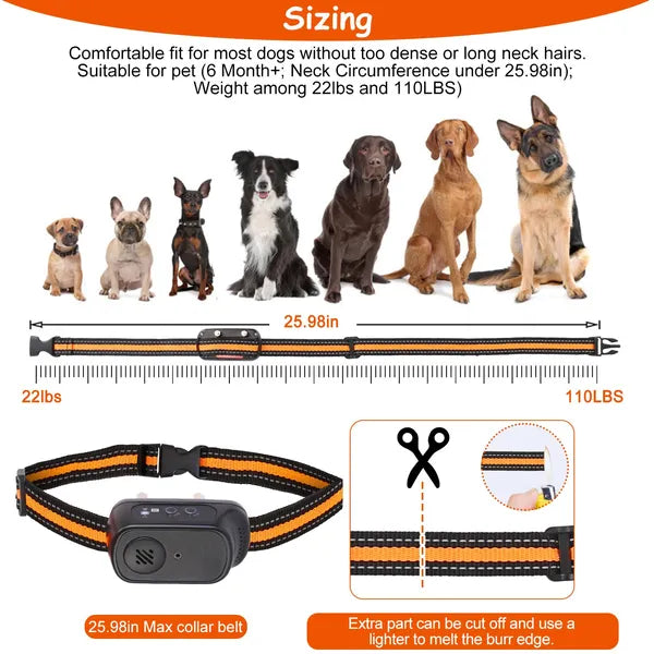 HKM-8055869 Rechargeable Dog Training Collar with Beep, Vibration, and Shock Modes - IP65 Waterproof, 984FT Range, 3 Channels, Safety Keypad Lock