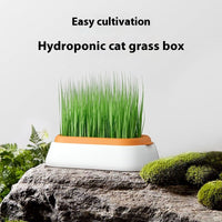 HKM-8062141 Hydroponic Cat Grass Planter with Wheat Seed Basin - Soil-Free, Available in White, Green, Red