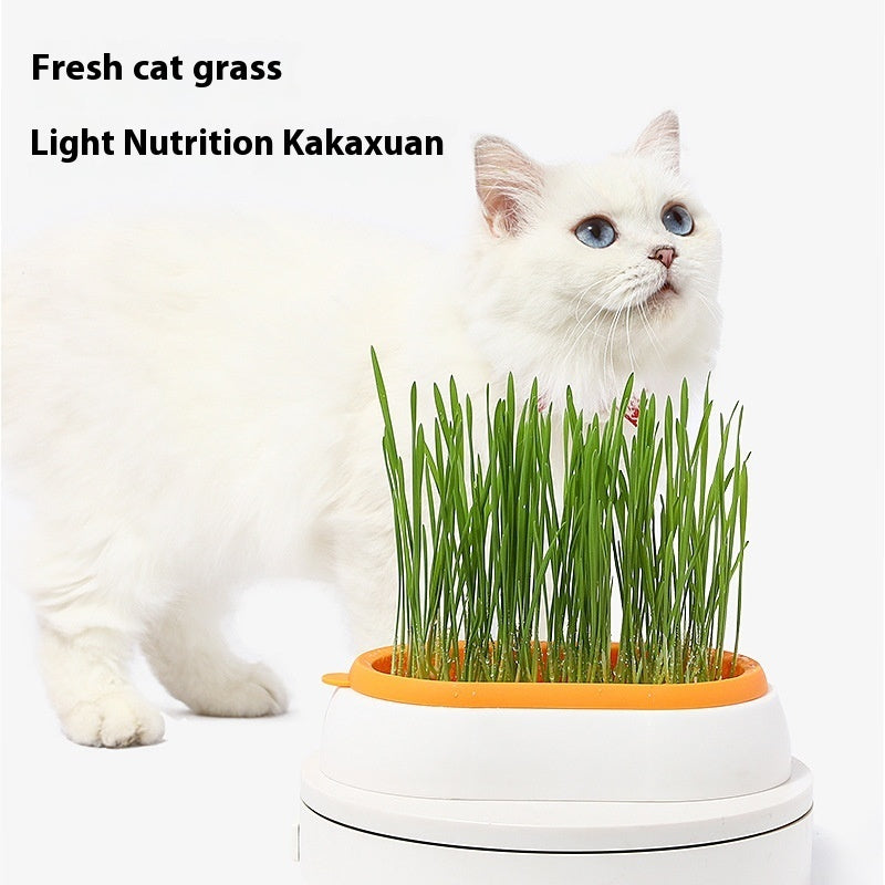 HKM-8062141 Hydroponic Cat Grass Planter with Wheat Seed Basin - Soil-Free, Available in White, Green, Red
