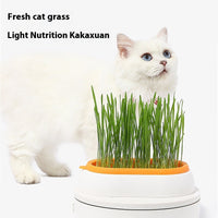 HKM-8062141 Hydroponic Cat Grass Planter with Wheat Seed Basin - Soil-Free, Available in White, Green, Red